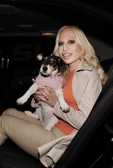 donatella versace e i suoi cani|Donatella Versace’s Dog Has the Best Life Ever .